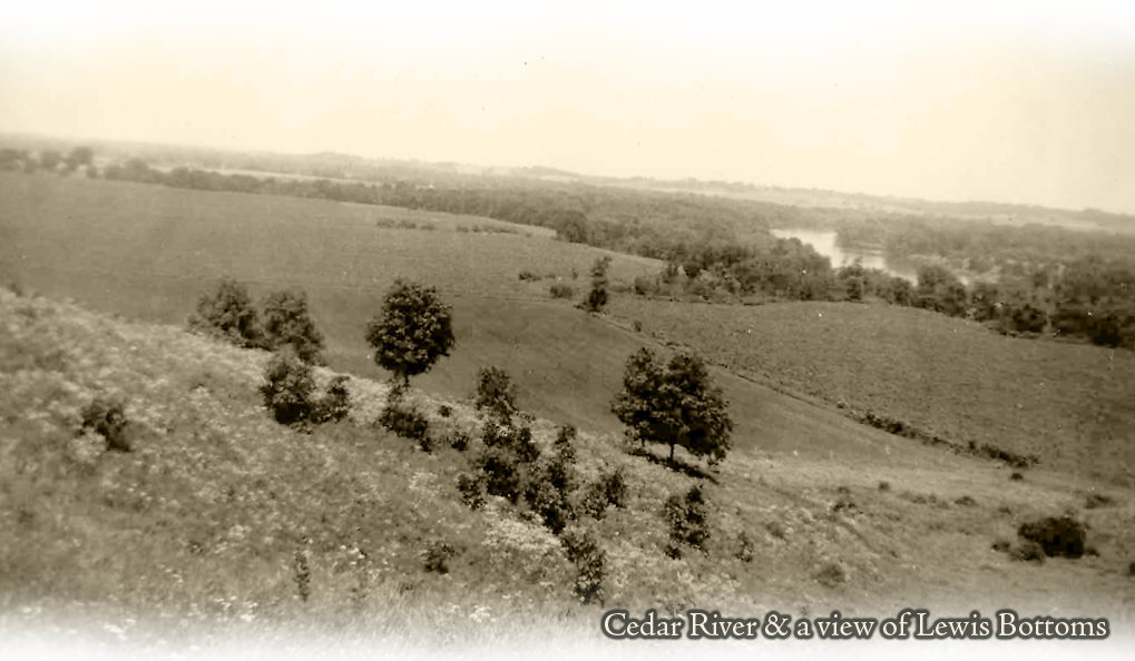 cedar river